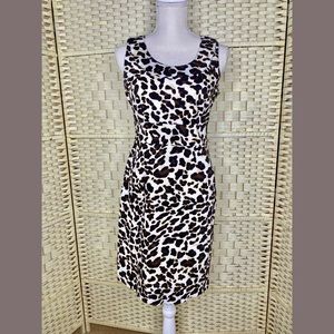 Jones New York Signature Stretch Dress Women's Size 4 Leopard Print